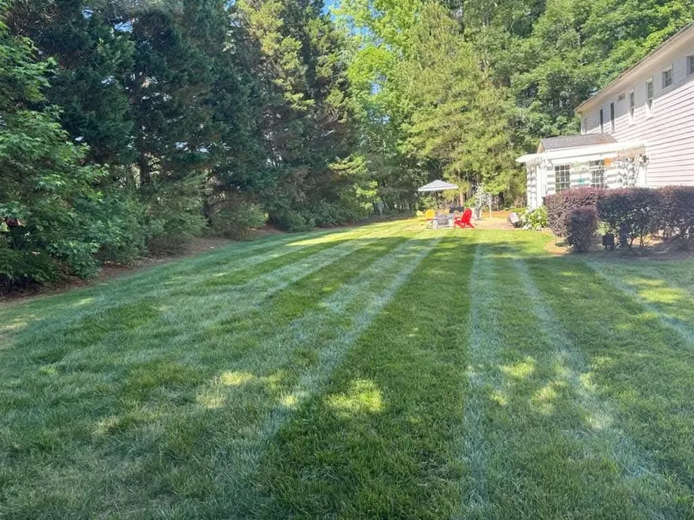 Reliable residential landscaping experts serving Newark, DE - Landscaping Martinez