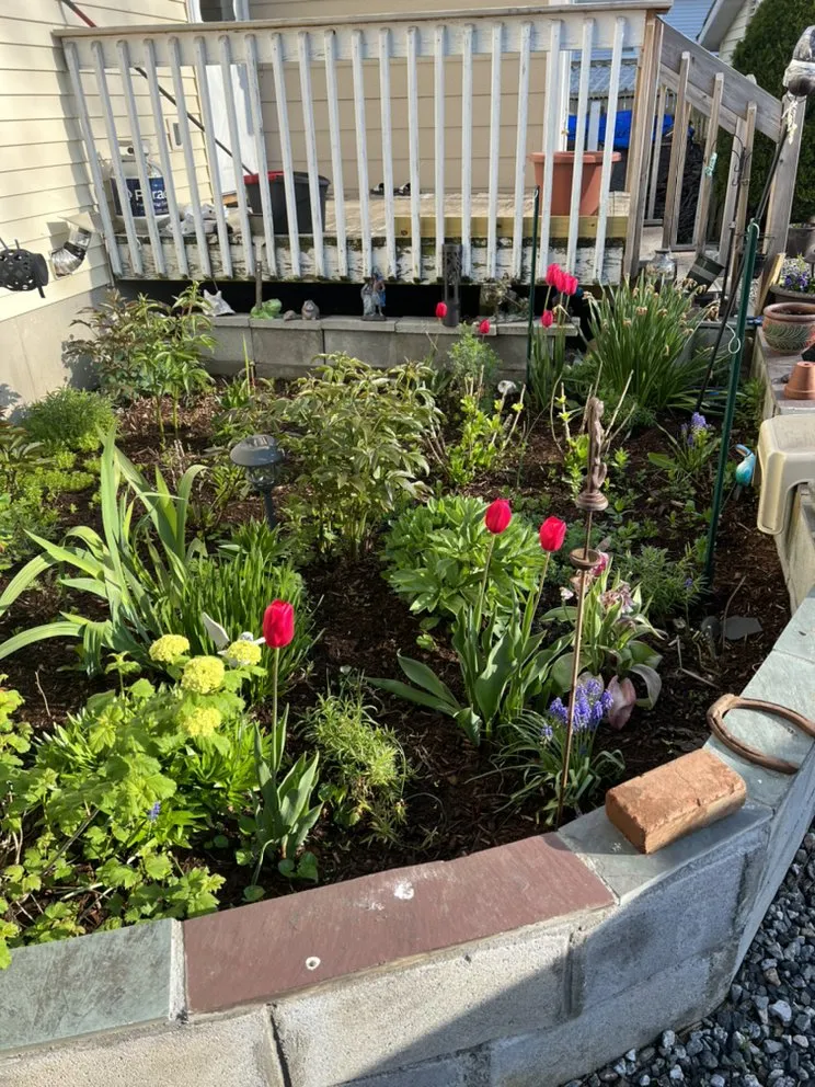 Trusted landscaping services experts serving Stratford, CT - LandscapingSS