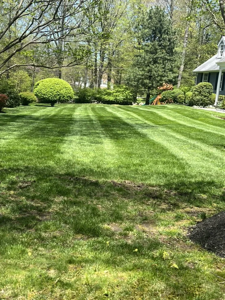 Trusted residential landscaping for year-round maintenance across Stratford, CT - LandscapingSS
