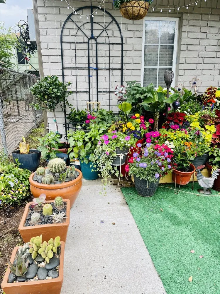 Professional outdoor landscaping in Houston, TX by Landscapology