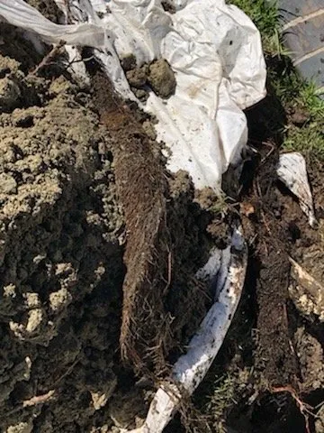 Professional lawn mowing service experts serving Corona, CA - Landscapx