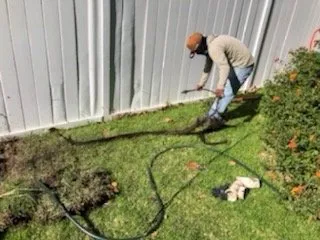 Professional lawn care service in Corona, CA - Landscapx