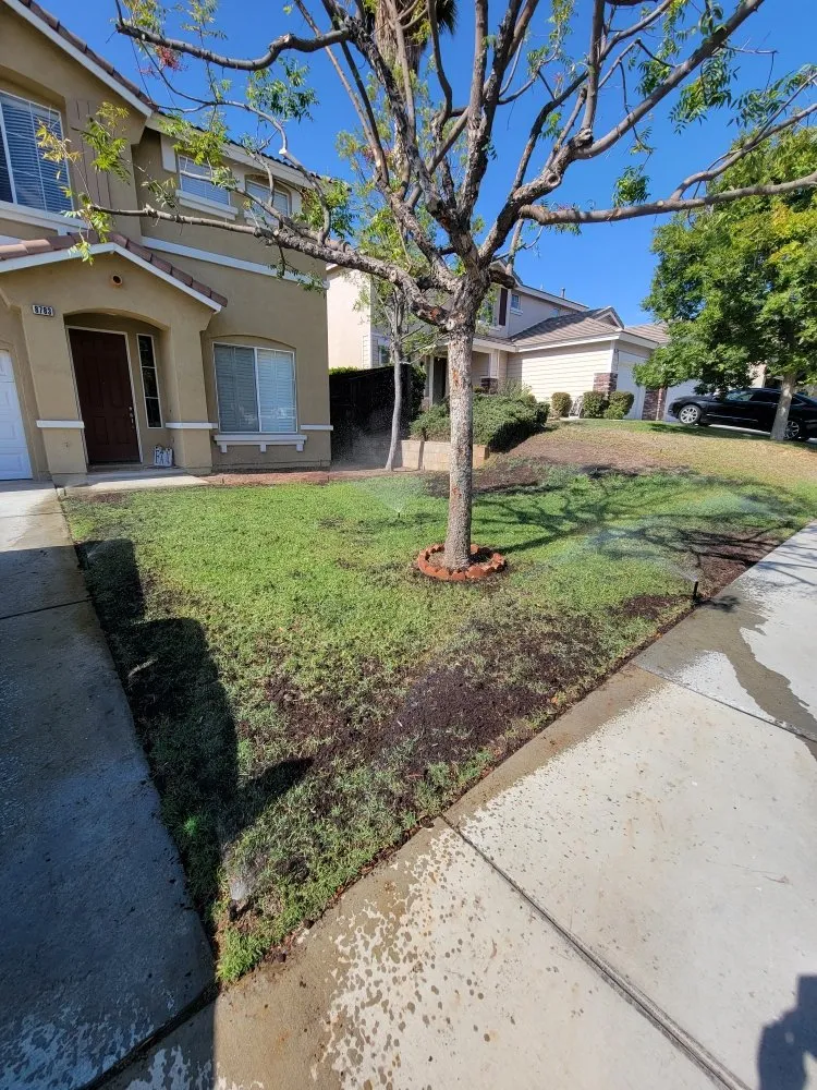 Local lawn mowing service in Corona, CA - Landscapx