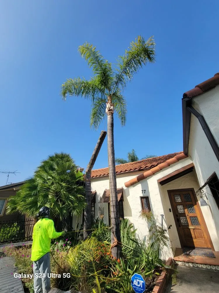 Affordable outdoor landscaping near you in Corona, CA by Landscapx