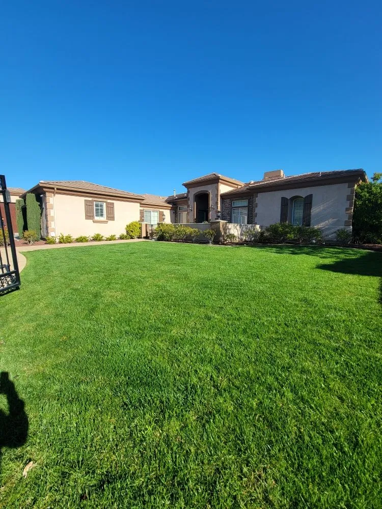 Trusted landscape installation in Corona, CA - Landscapx