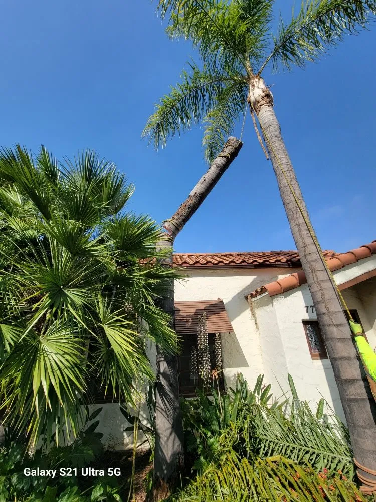 Expert landscape design experts serving Corona, CA - Landscapx