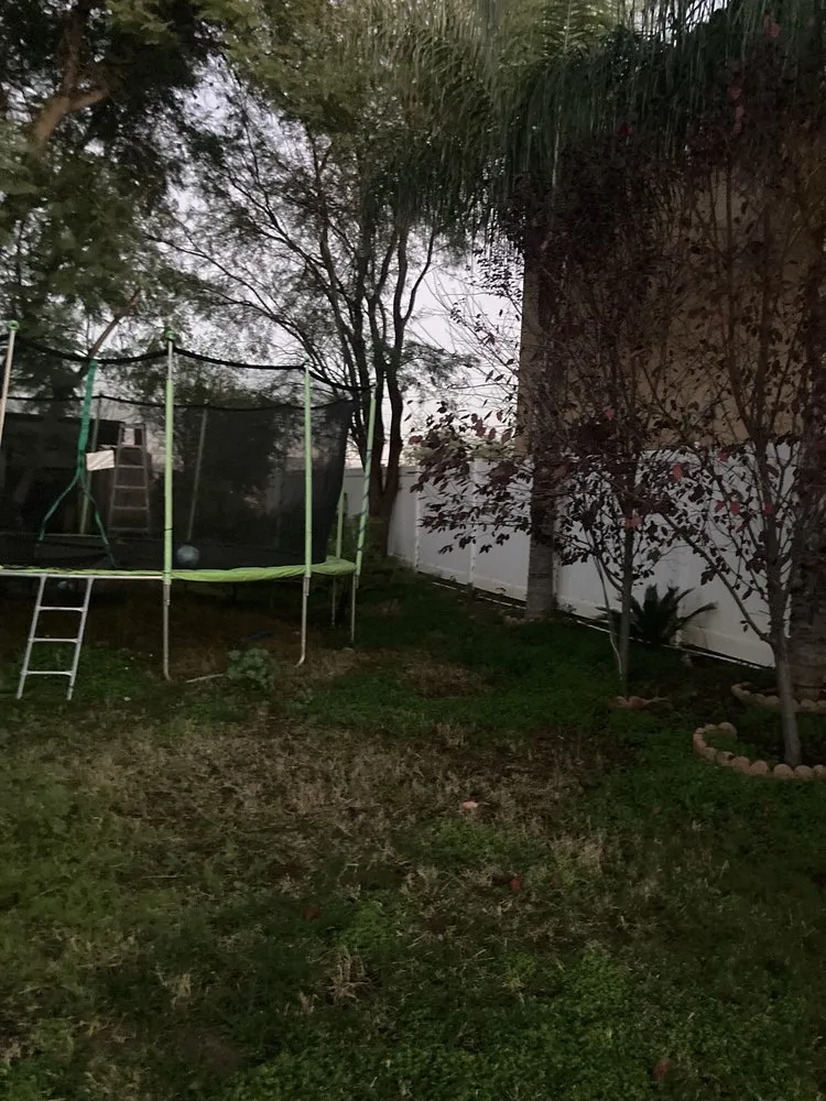 Reliable yard cleanup service in Corona, CA - Landscapx