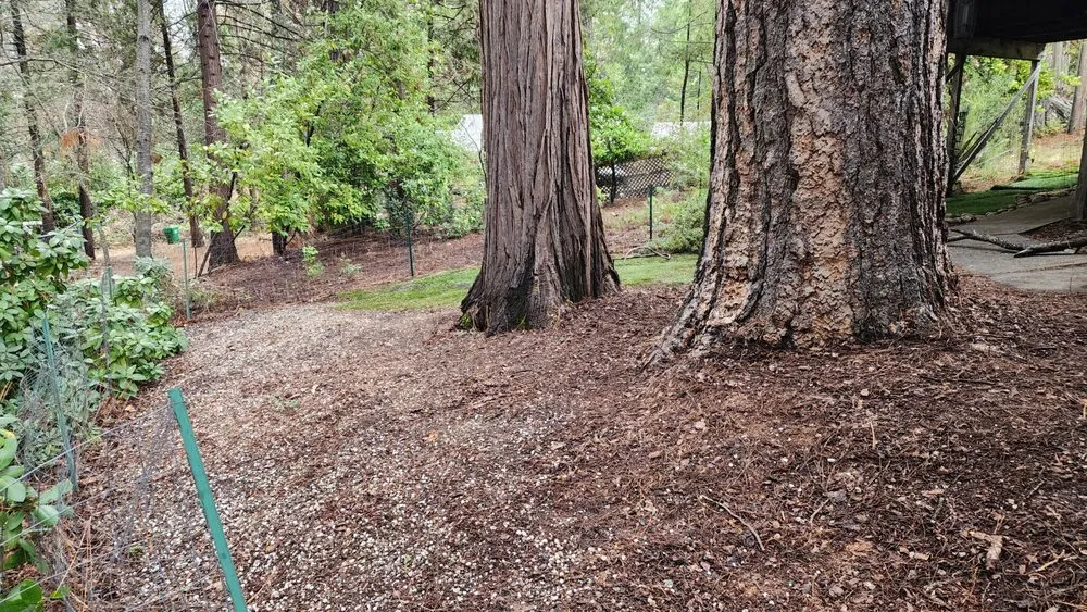 Top-rated lawn care service in Grass Valley, CA - Landscpaing Maintenance Services Alejandro Chavez