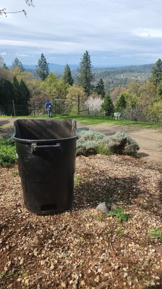 Expert yard cleanup service in Grass Valley, CA by Landscpaing Maintenance Services Alejandro Chavez
