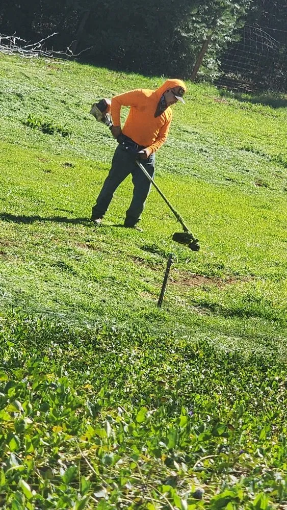 Top-rated landscape design for year-round maintenance across Grass Valley, CA - Landscpaing Maintenance Services Alejandro Chavez