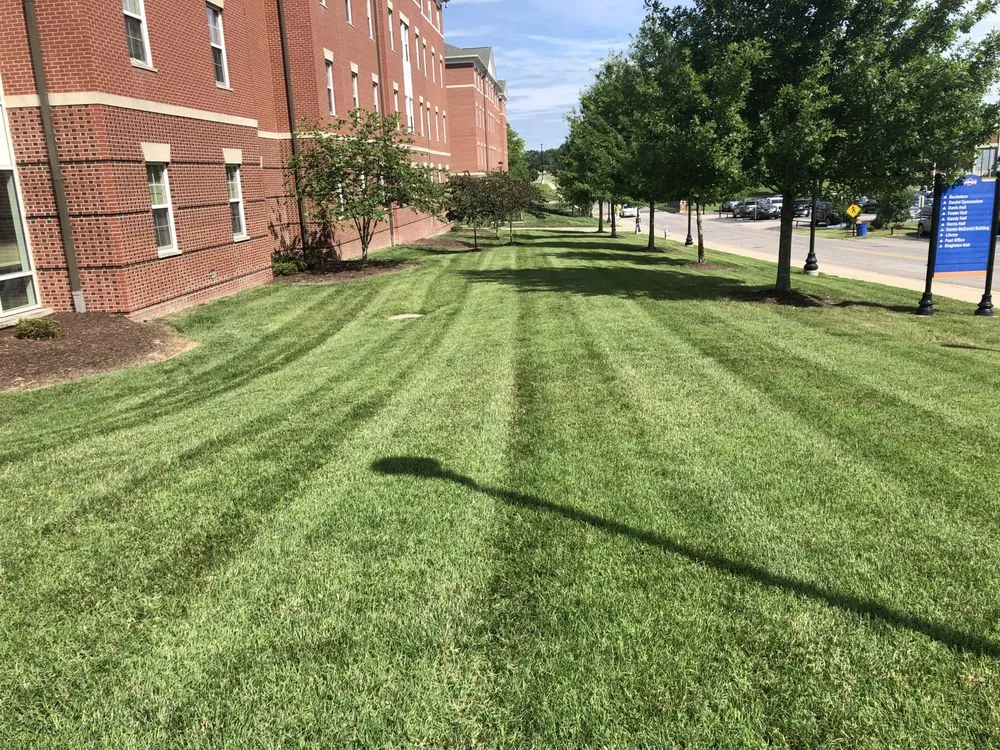 Top-rated yard cleanup service experts serving Richmond, VA - Landscrete