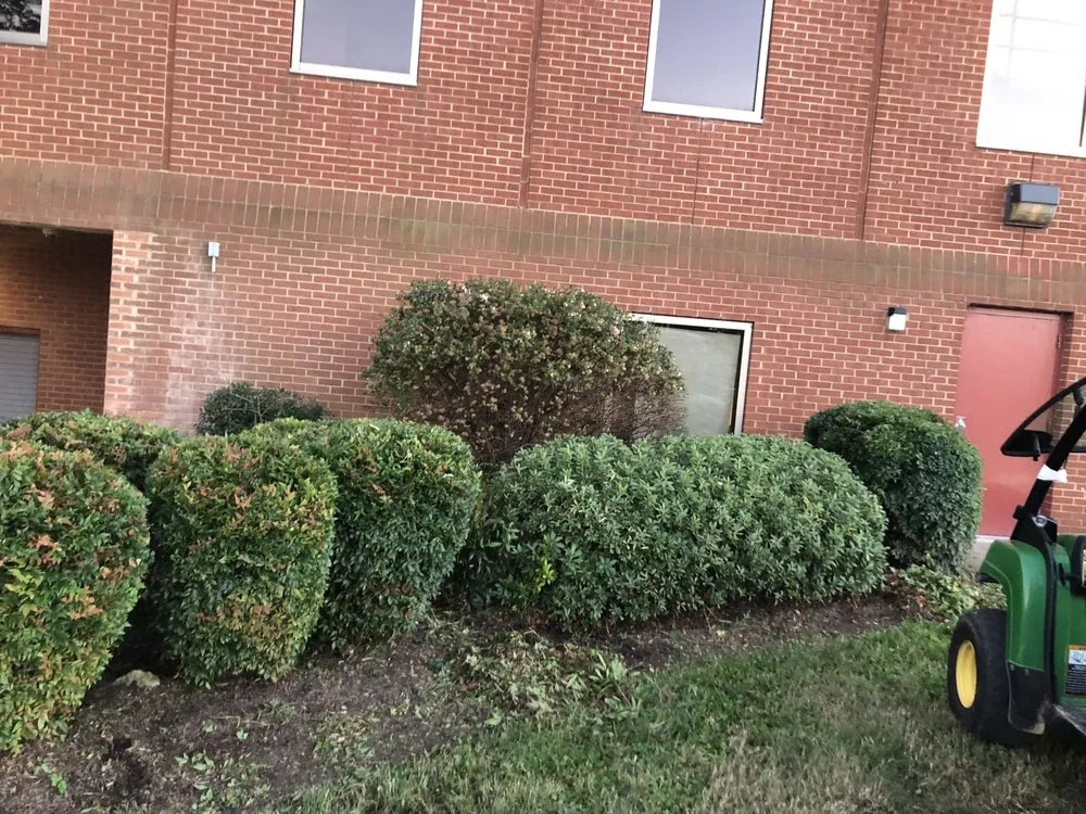 Local yard maintenance in Richmond, VA by Landscrete