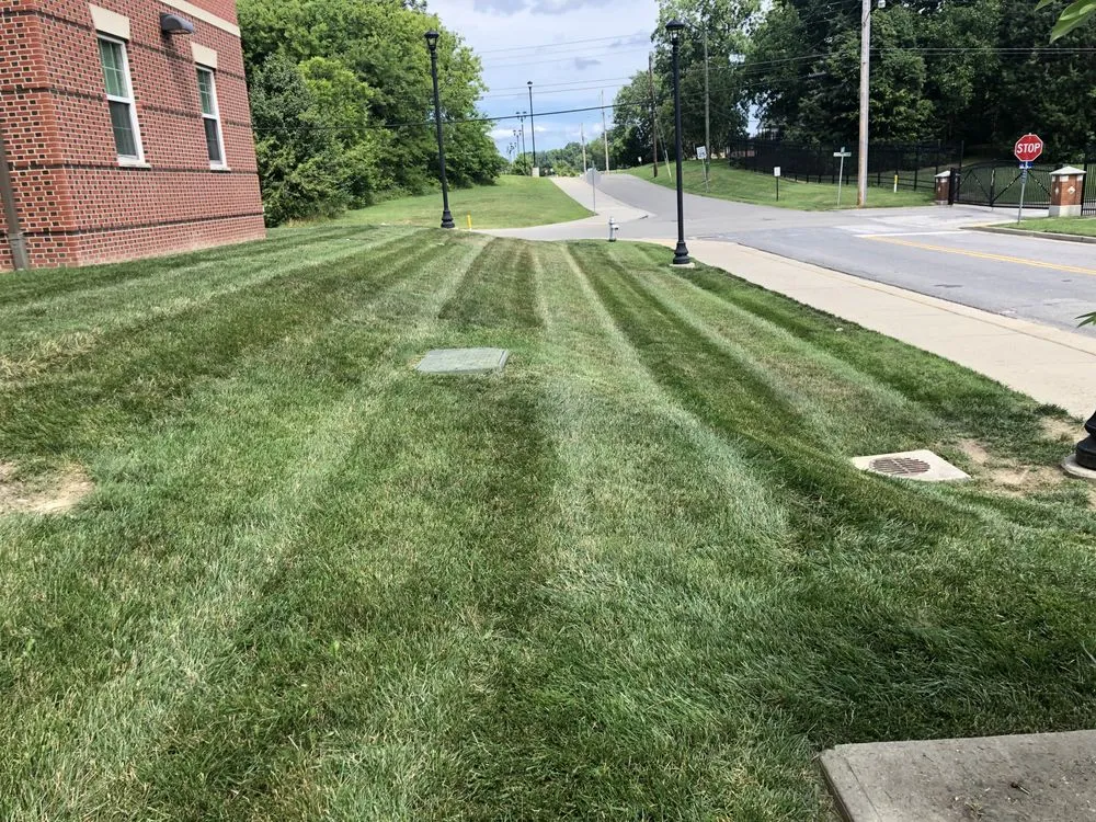 Custom yard cleanup service for homes across Richmond, VA - Landscrete