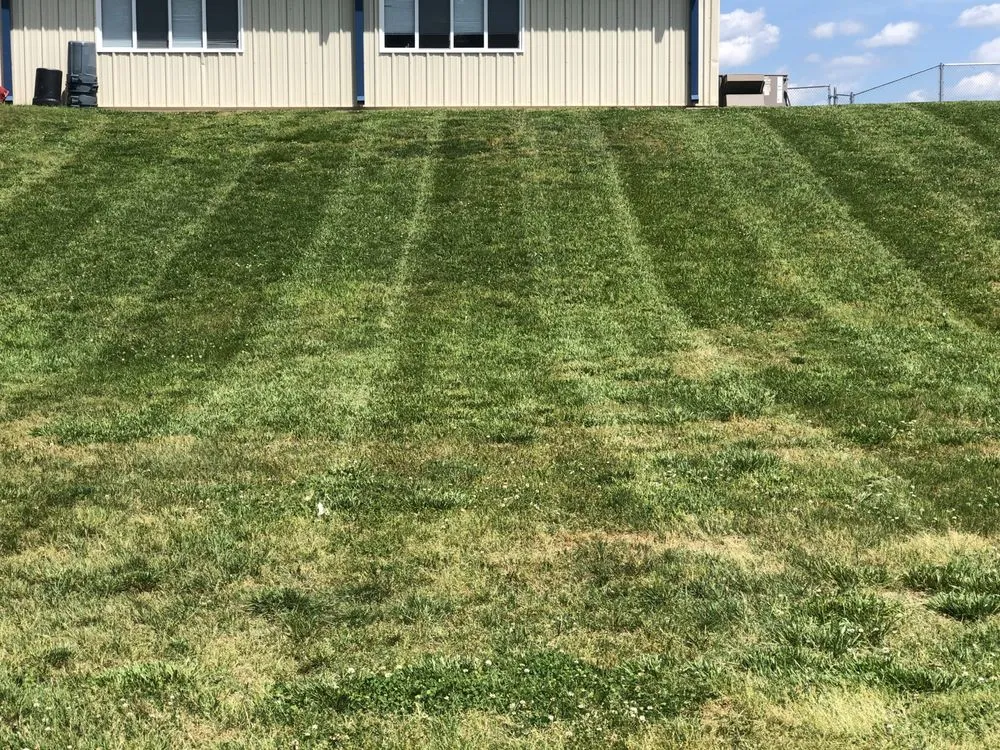 Local landscape design experts serving Richmond, VA - Landscrete