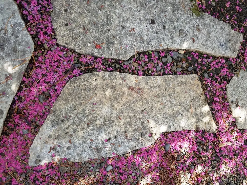 Expert lawn care service with custom design across Hillsboro, OR - Landservices