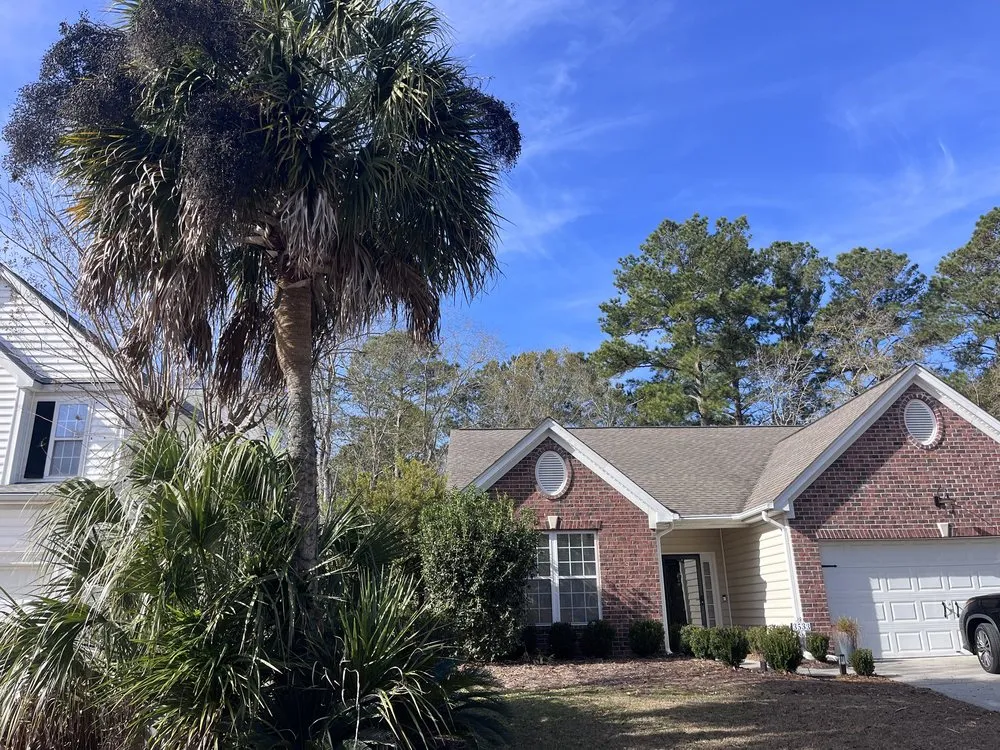 Affordable yard cleanup service for outdoor upgrades in Mount Pleasant, SC by Landshaft Solutions