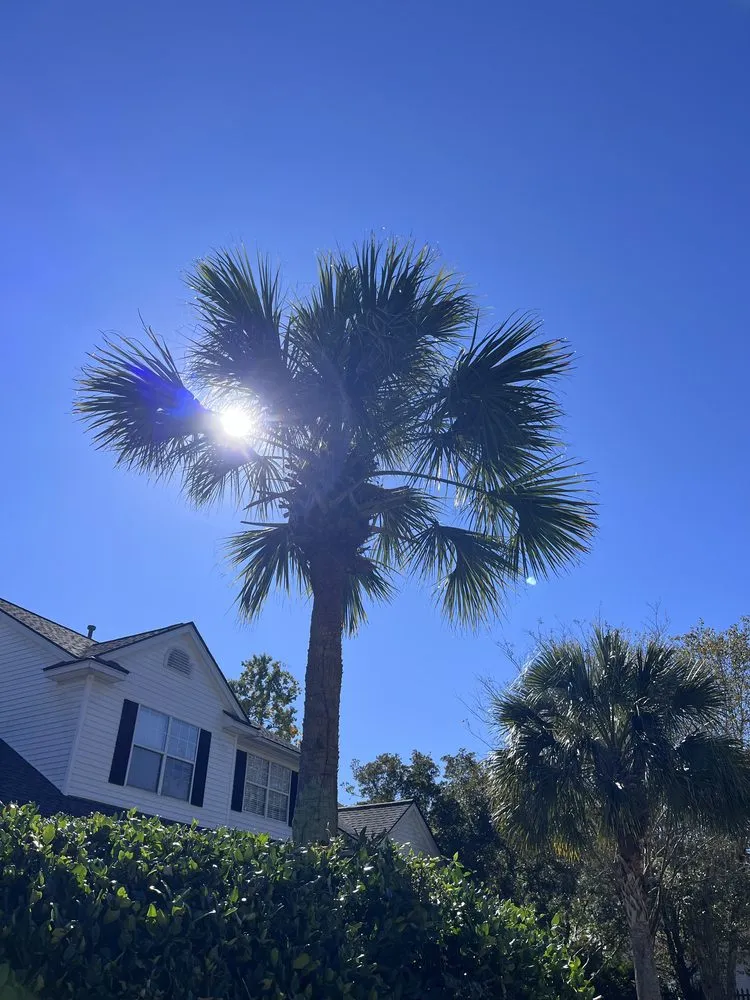 Top-rated residential landscaping experts serving Mount Pleasant, SC - Landshaft Solutions