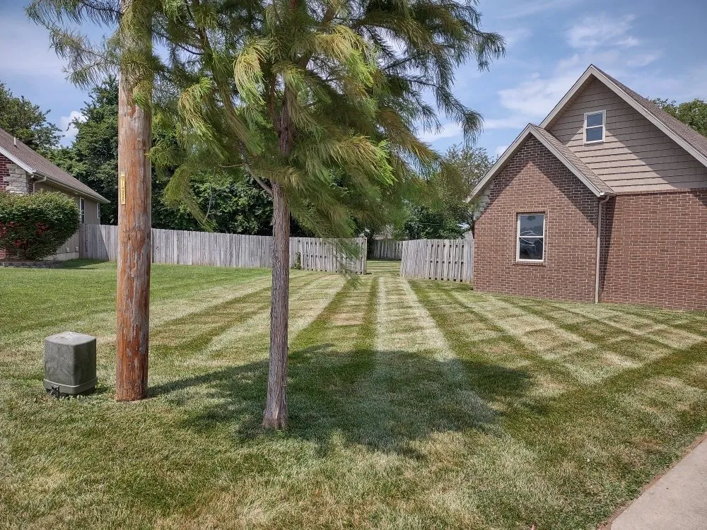 Top-rated lawn mowing service in Willard, MO by LandShark Mowing