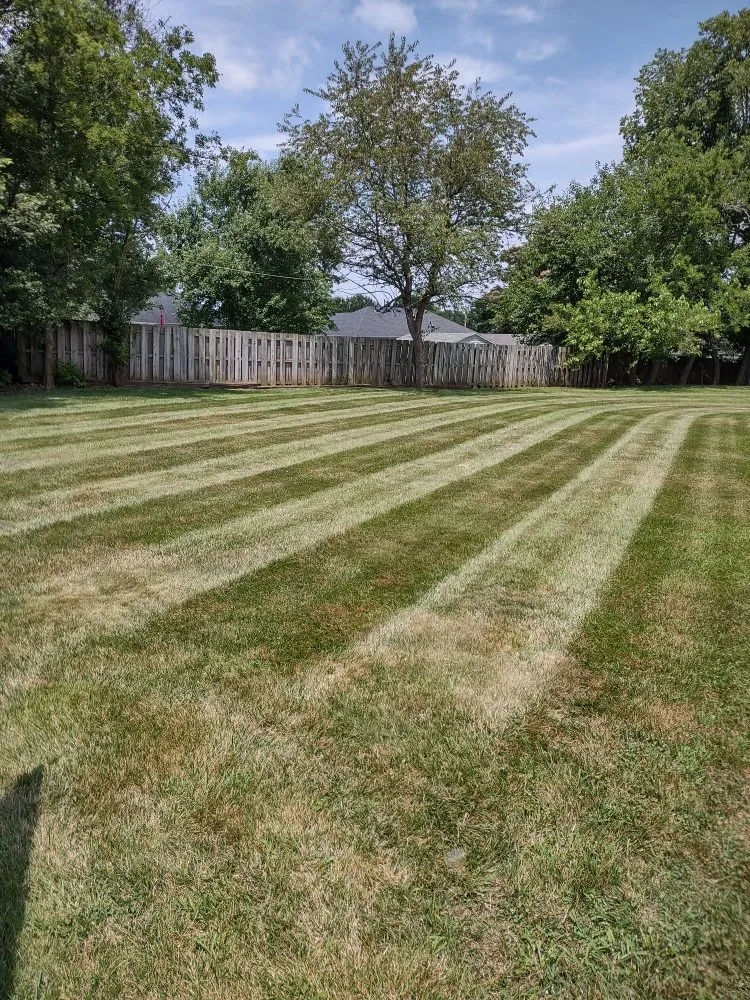 Affordable residential landscaping experts serving Willard, MO - LandShark Mowing
