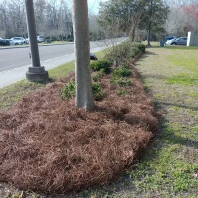 Local residential landscaping in Summerville, SC - Landshark Property Services