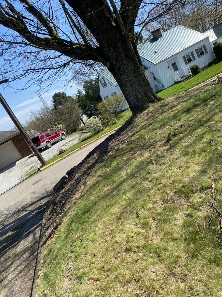 Professional yard cleanup service in Barnesville, OH by Landsharks