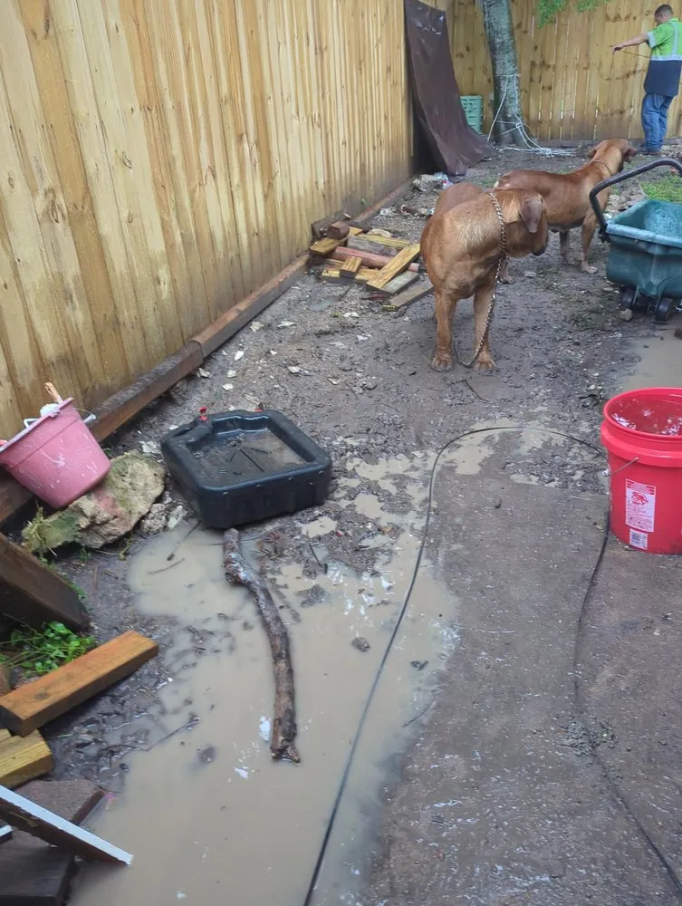 Local residential landscaping for outdoor upgrades across Houston, TX - Landsharks Fencing and Tree Service