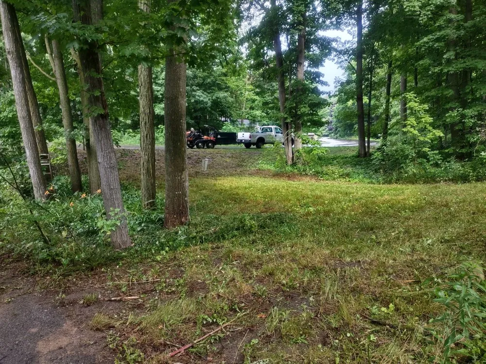 Professional landscape installation in Traverse City, MI - Landsharks Lawn and Landscaping