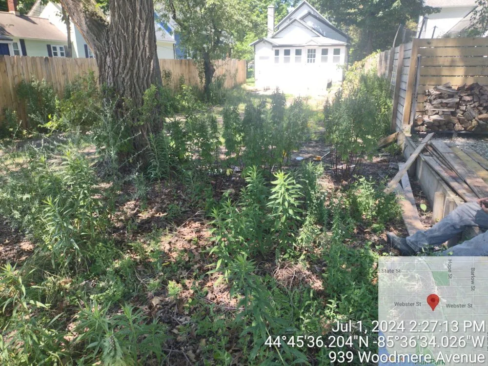 Trusted yard maintenance for outdoor upgrades across Traverse City, MI - Landsharks Lawn and Landscaping