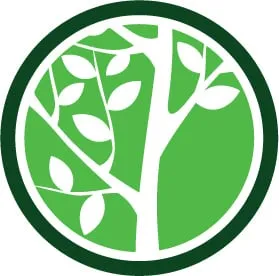 Reliable yard cleanup service in Westfield, IN - Landsmith Landscapes