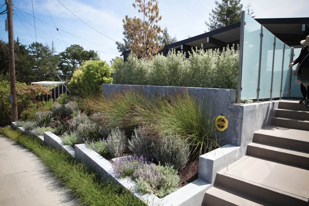 Trusted landscape design experts serving Palo Alto, CA - Landsthetics