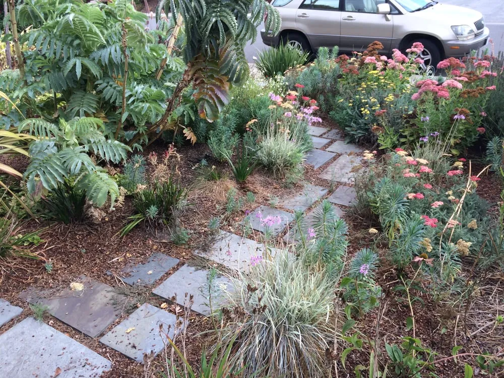 Affordable landscape design for beautiful yards across Palo Alto, CA - Landsthetics