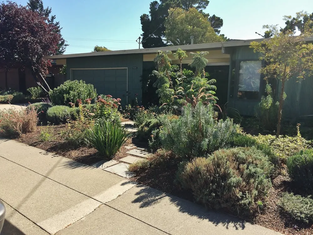 Trusted yard cleanup service for year-round maintenance across Palo Alto, CA - Landsthetics