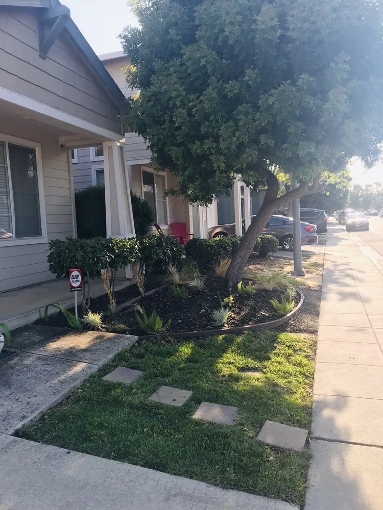Affordable yard cleanup service for homes in Palo Alto, CA by Landsthetics