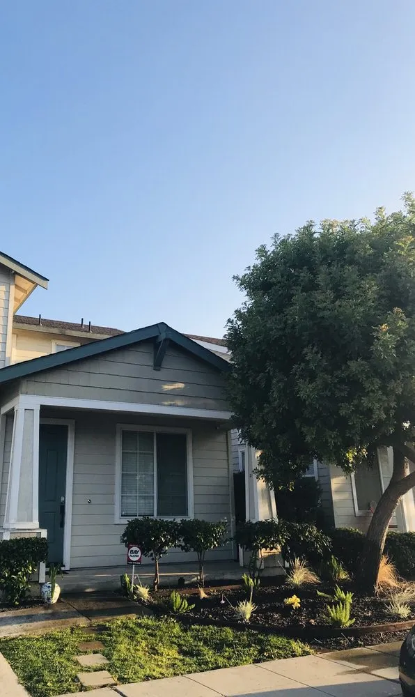 Custom outdoor landscaping experts serving Palo Alto, CA - Landsthetics