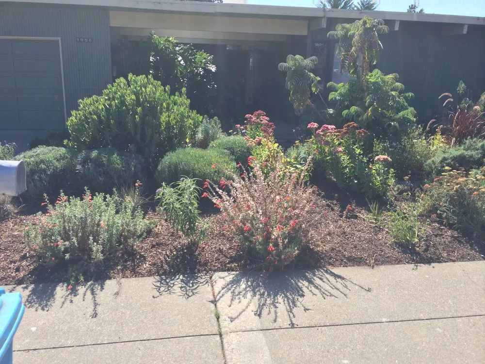Trusted landscape installation in Palo Alto, CA by Landsthetics