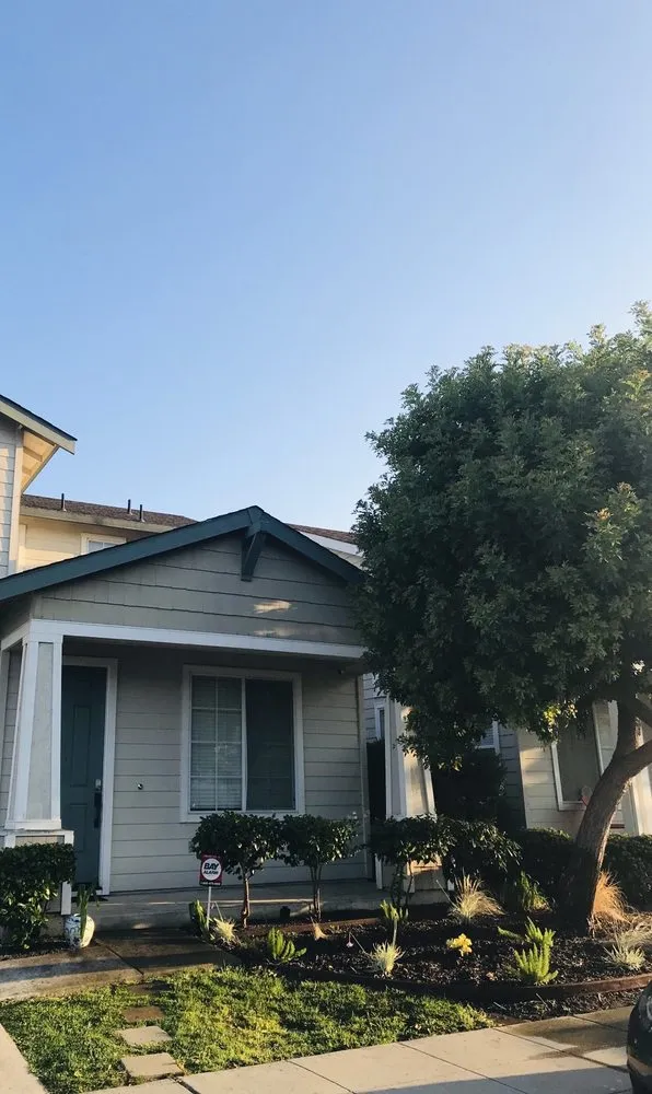 Top-rated landscape design in Palo Alto, CA - Landsthetics