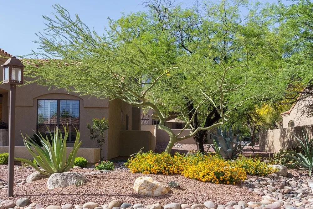 Professional lawn care service near you across Tucson, AZ - Landtamers Landscaping