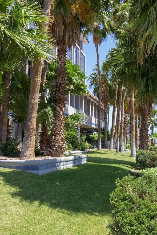 Custom yard maintenance experts serving Tucson, AZ - Landtamers Landscaping