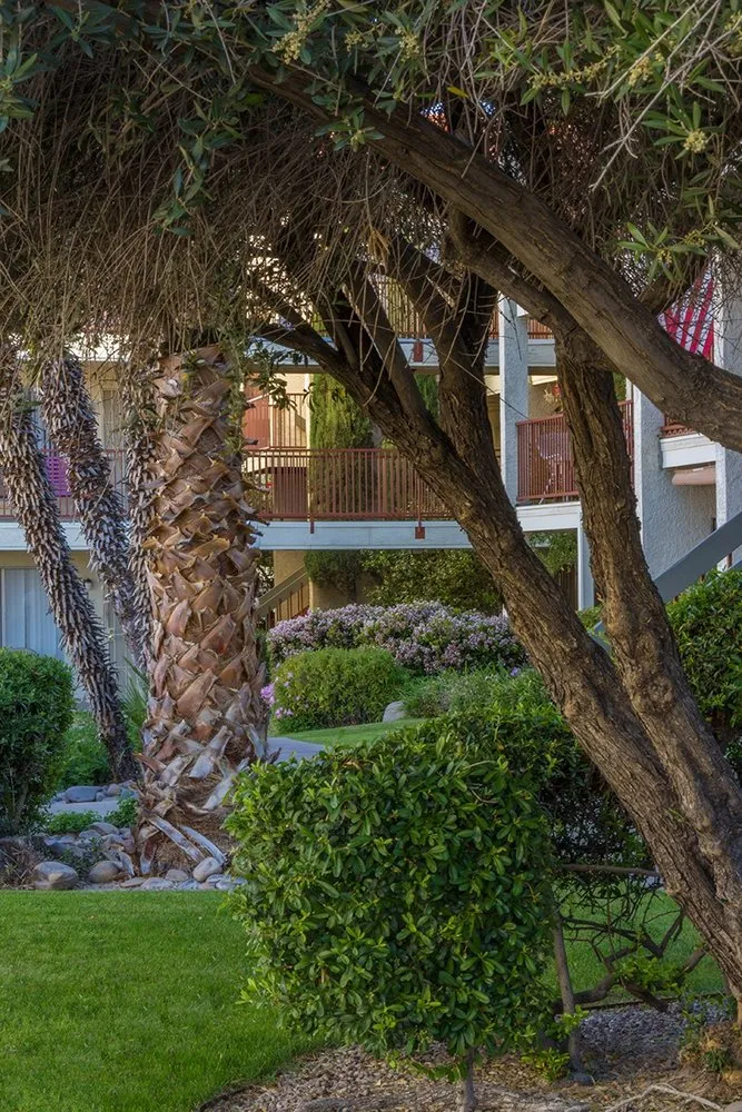 Custom landscape design in Tucson, AZ - Landtamers Landscaping