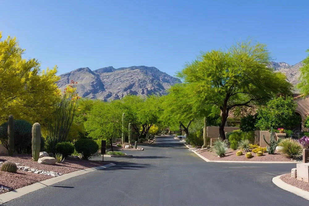 Affordable landscaping services in Tucson, AZ - Landtamers Landscaping