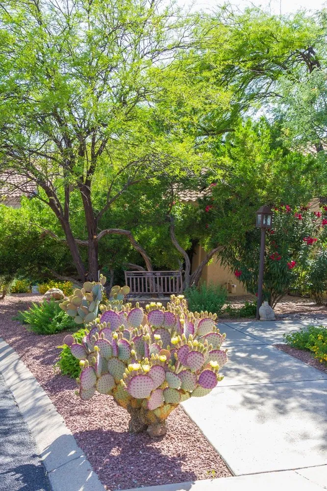 Expert lawn care service for beautiful yards across Tucson, AZ - Landtamers Landscaping