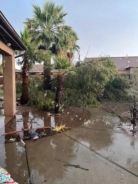 Reliable garden landscaping for year-round maintenance across Tucson, AZ - Landtamers Landscaping