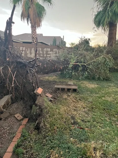 Custom landscape installation in Tucson, AZ by Landtamers Landscaping