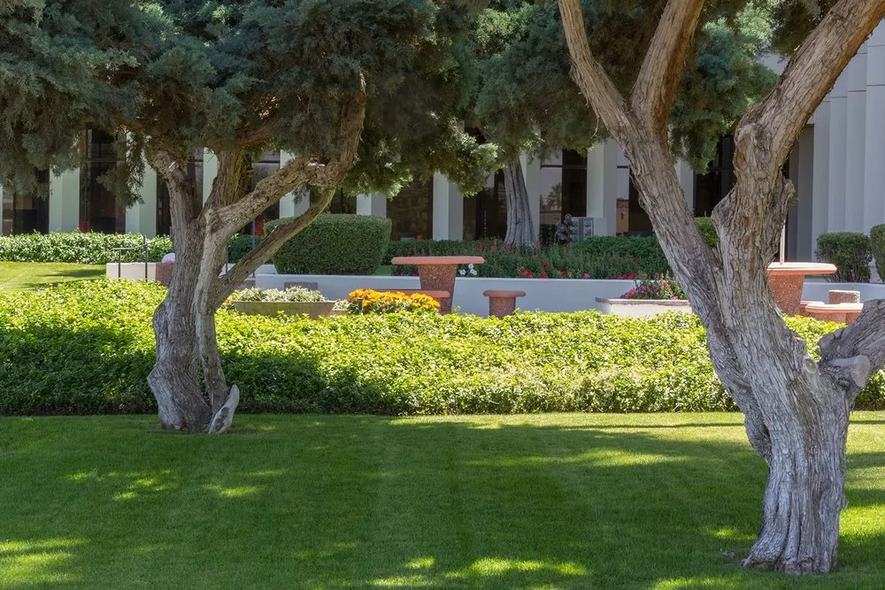 Trusted landscape installation in Tucson, AZ - Landtamers Landscaping