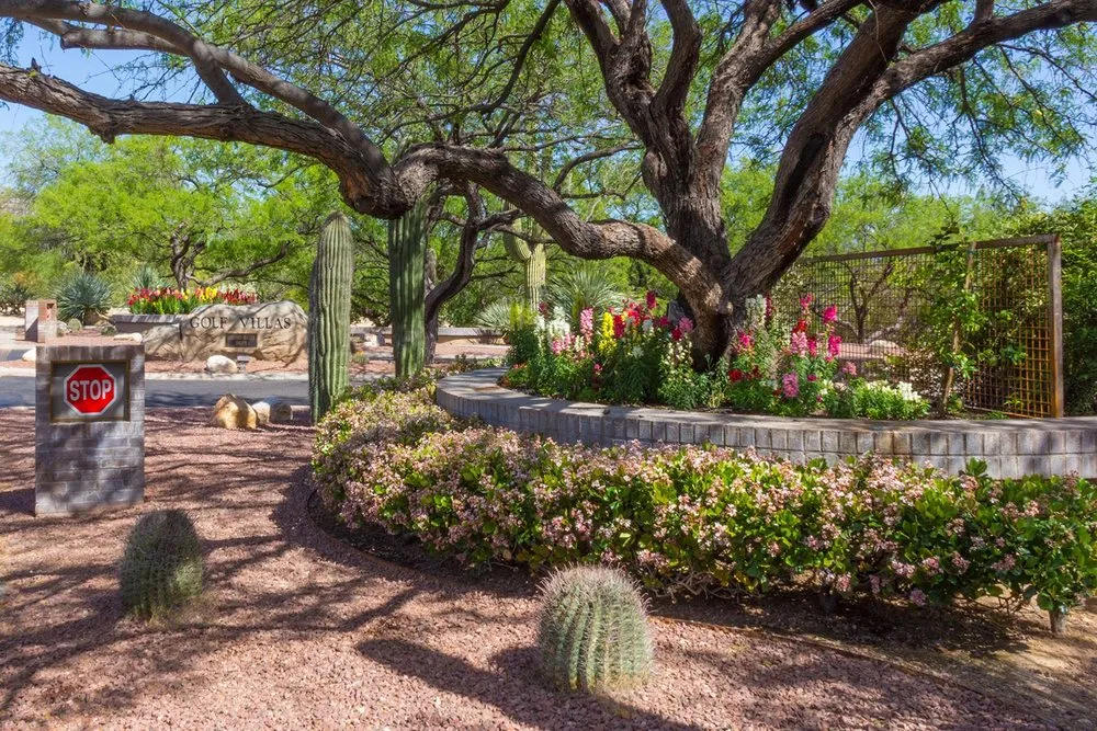 Local residential landscaping for residential properties across Tucson, AZ - Landtamers Landscaping