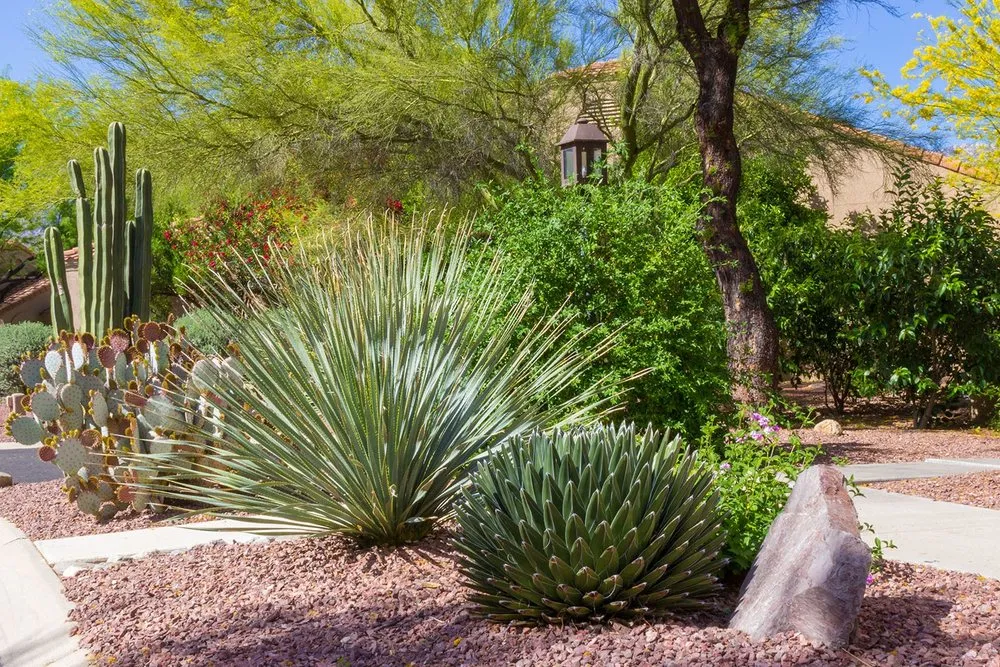 Reliable lawn mowing service in Tucson, AZ - Landtamers Landscaping