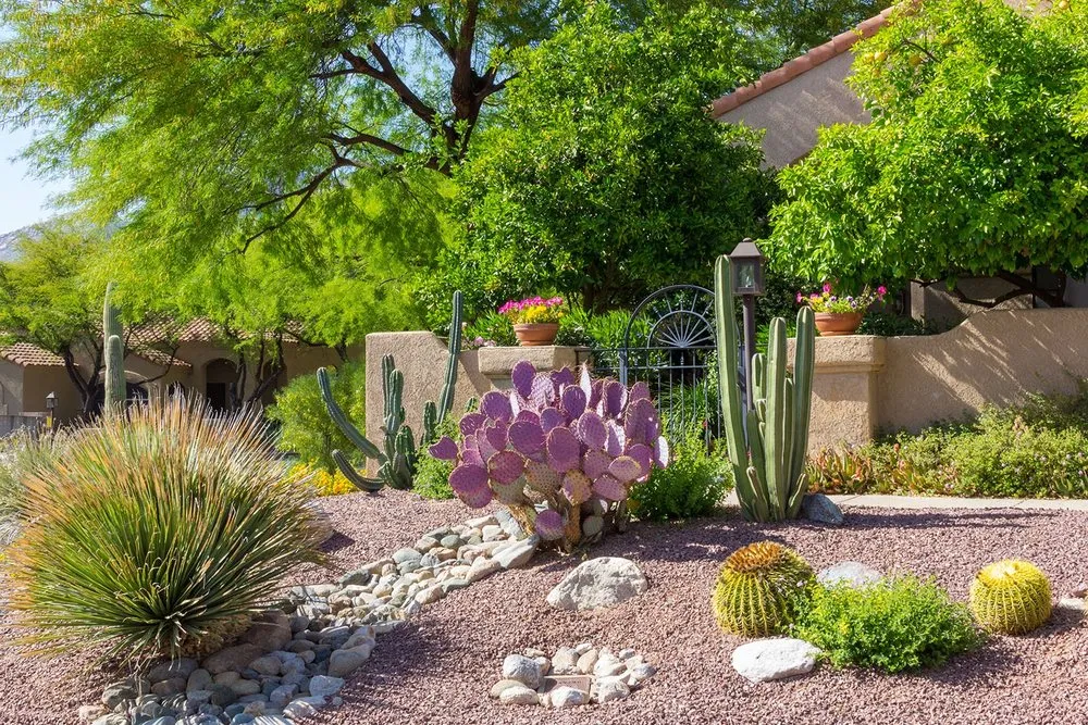 Local landscaping services experts serving Tucson, AZ - Landtamers Landscaping