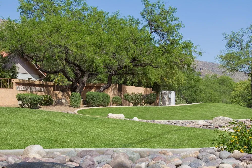 Reliable yard cleanup service experts serving Tucson, AZ - Landtamers Landscaping
