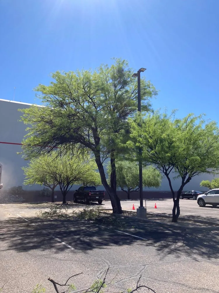 Local landscaping services in Tucson, AZ - Landtamers Landscaping