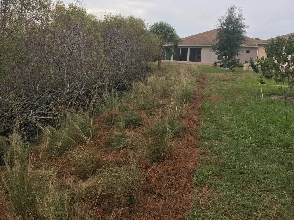 Expert outdoor landscaping for year-round maintenance in Port Charlotte, FL by Landtech Industries